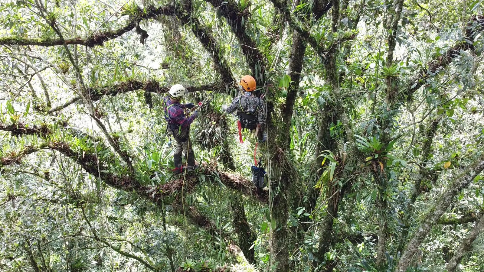 DJI_0483 - frame at 0m30s